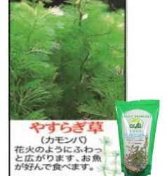 やすらぎ草